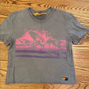 Aviator Nation Grey Boyfriend Tee Size Small Surf